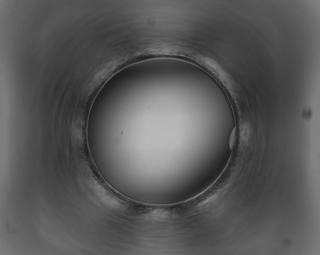 X0000089910441200707061002