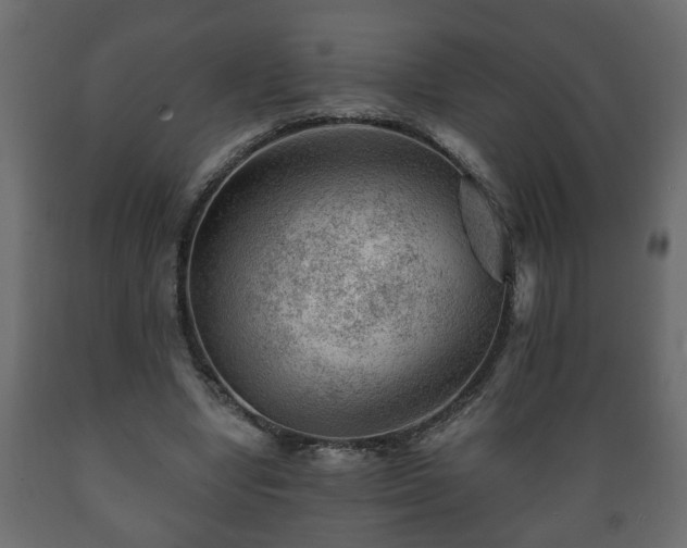 X0000089910442200707061002