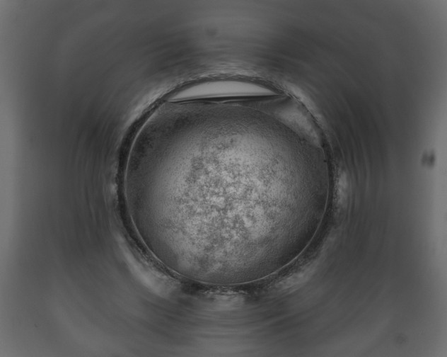 X0000089910443200707061002