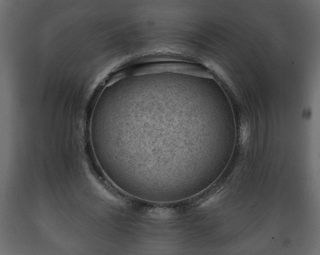 X0000089910444200707061002