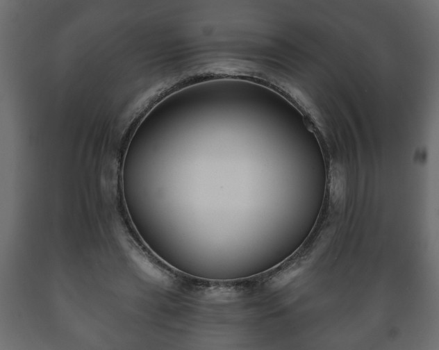 X0000089910445200707061002