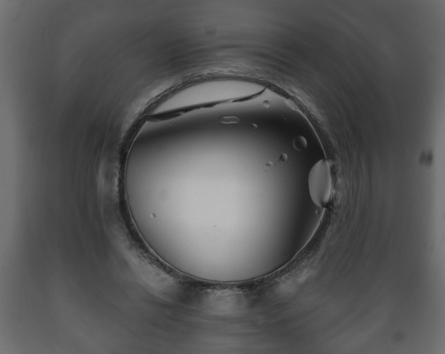 X0000089910446200707061002