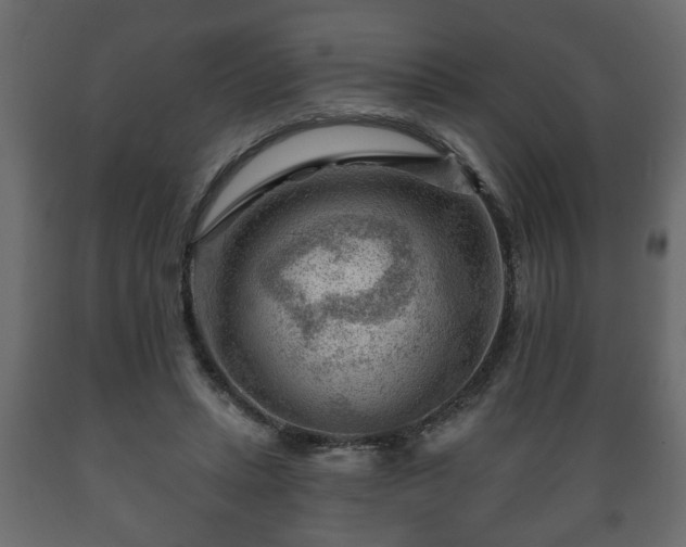 X0000089910447200707061002
