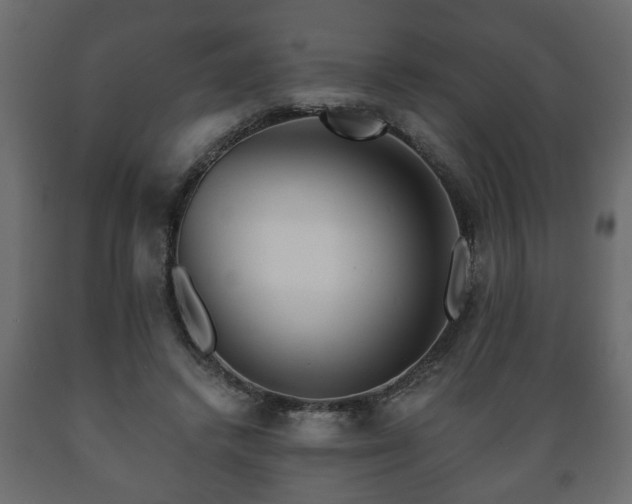 X0000089910448200707061002
