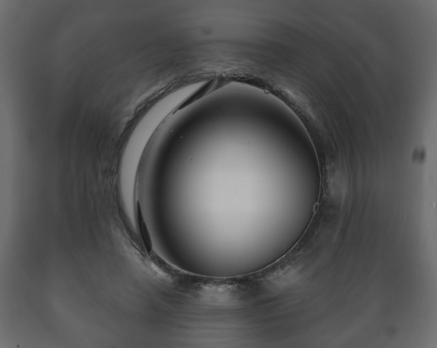 X0000089910450200707061002