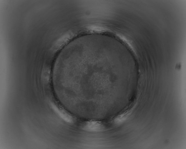 X0000089910451200707061002