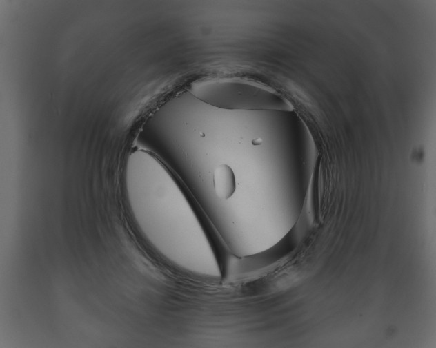 X0000089910452200707061002