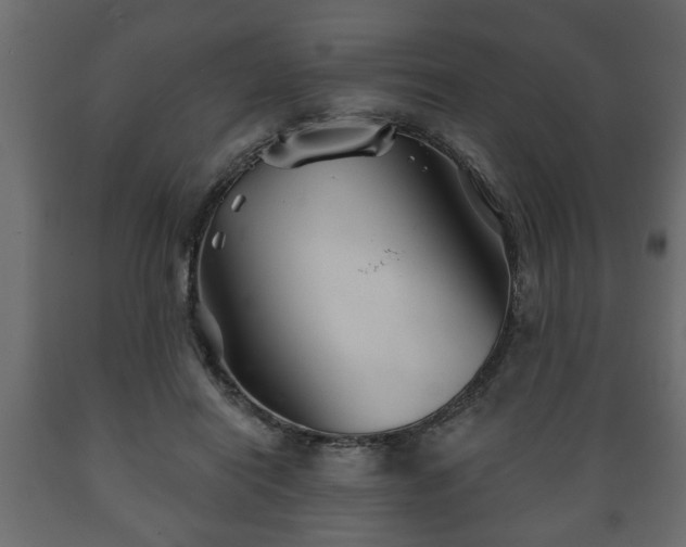 X0000089910454200707061002