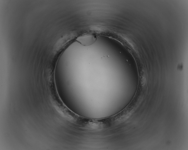 X0000089910455200707061002