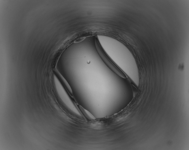 X0000089910456200707061002