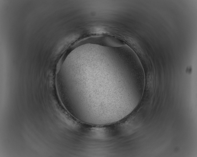 X0000089910457200707061002