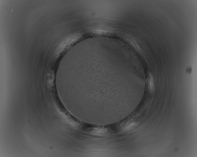 X0000089910458200707061002