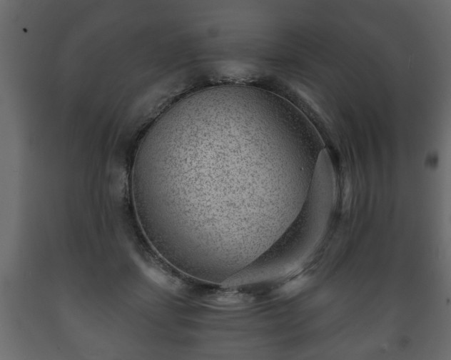X0000089910459200707061002