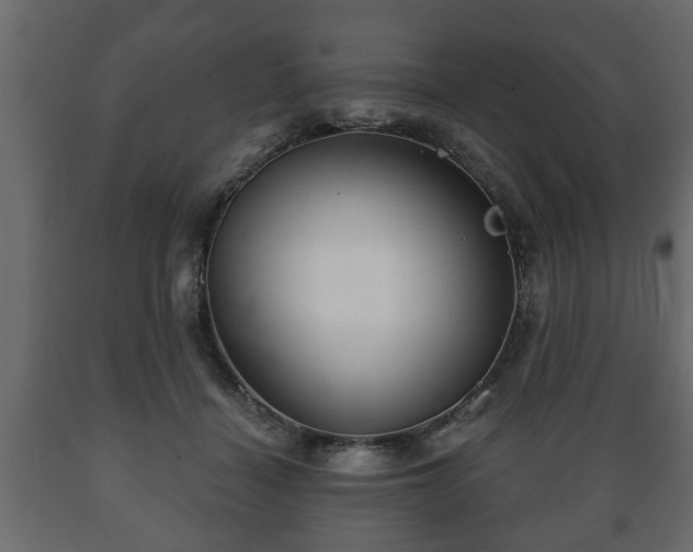 X0000089910460200707061002