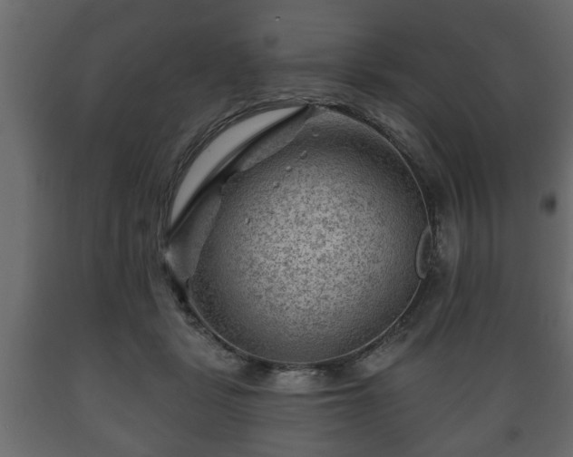 X0000089910461200707061002