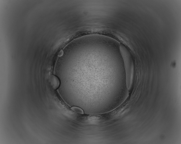 X0000089910462200707061002