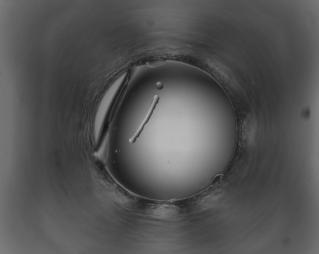 X0000089910463200707061002
