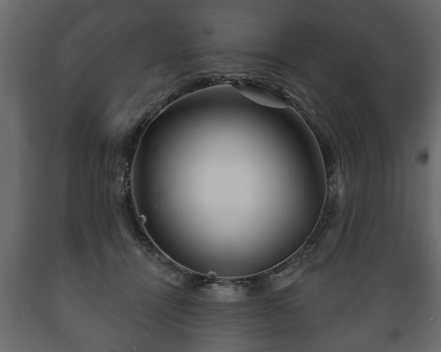 X0000089910464200707061002