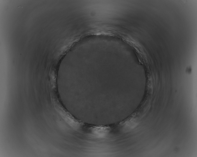 X0000089910465200707061002