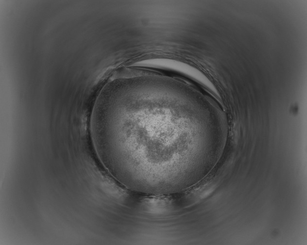 X0000089910466200707061002