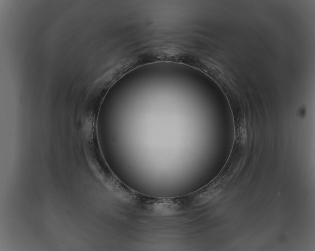 X0000089910468200707061002