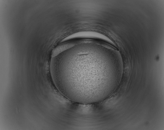 X0000089910469200707061002