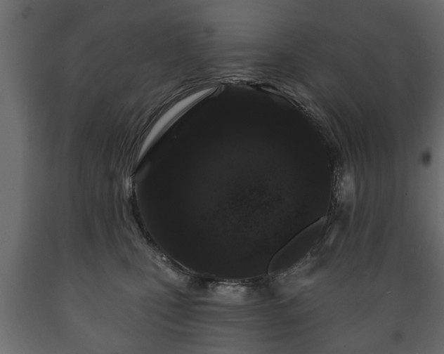 X0000089910471200707061002