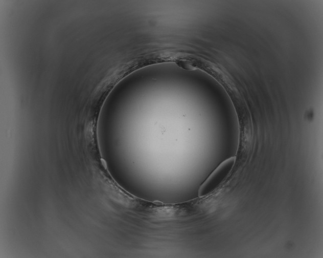 X0000089910473200707061002