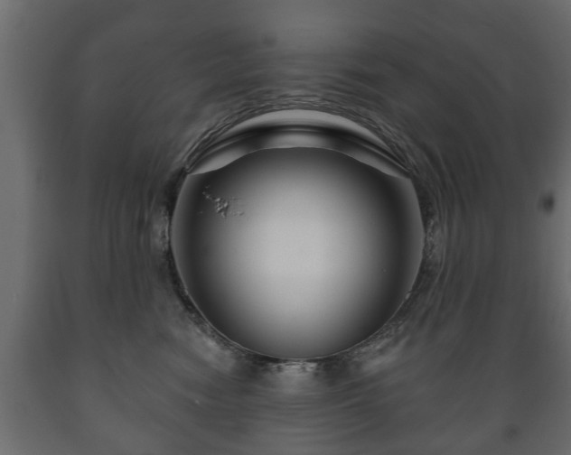 X0000089910474200707061002