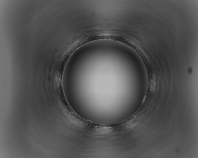 X0000089910476200707061002