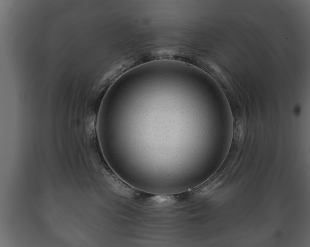 X0000089910477200707061002
