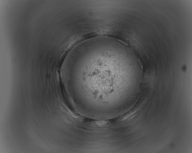 X0000089910479200707061002