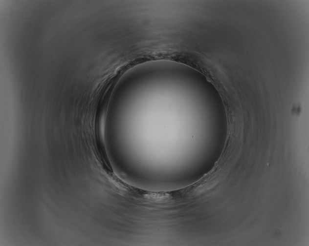 X0000089910480200707061002