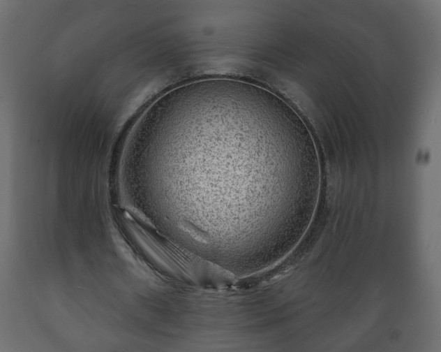 X0000089910482200707061002