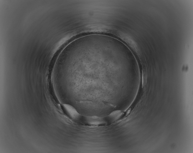 X0000089910483200707061002