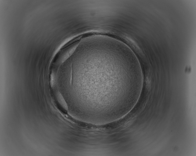 X0000089910484200707061002
