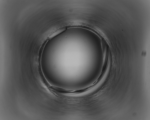 X0000089910485200707061002