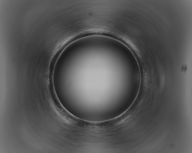 X0000089910486200707061002