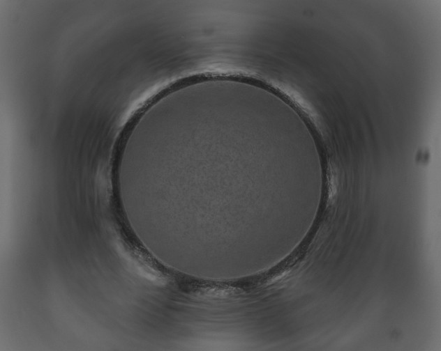 X0000089910488200707061002
