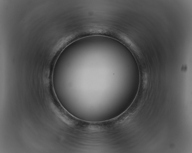X0000089910490200707061002