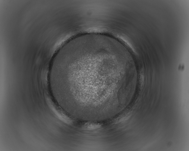 X0000089910491200707061002