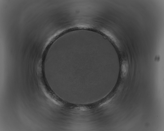 X0000089910492200707061002