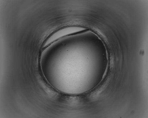 X0000089910493200707061002