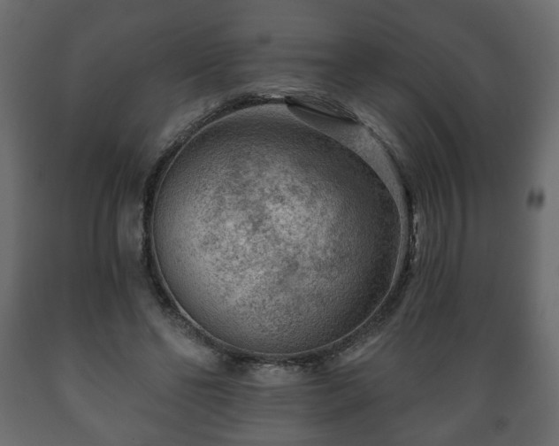 X0000089910494200707061002