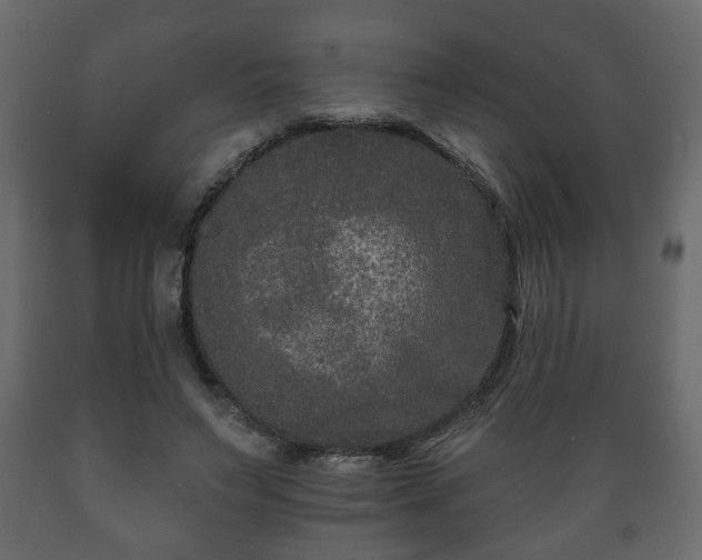 X0000089910495200707061002
