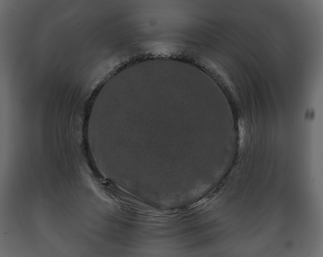 X0000089910496200707061002