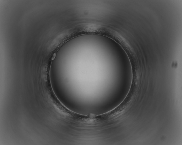 X0000089910497200707061002