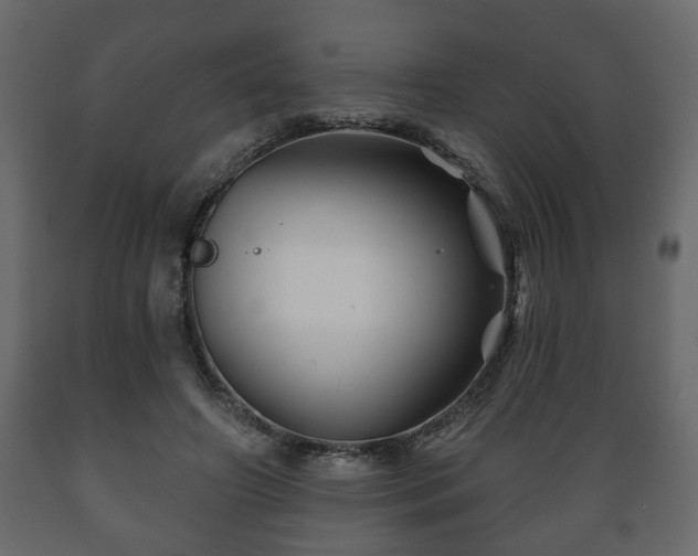 X0000089910498200707061002