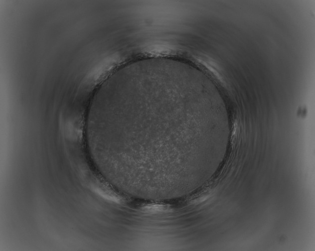 X0000089910499200707061002