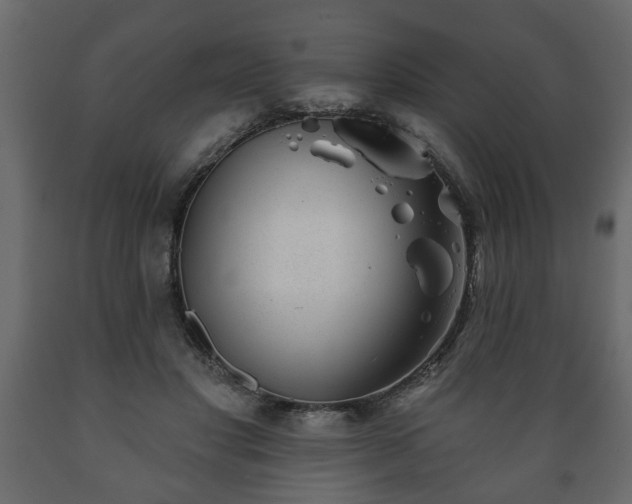 X0000089910501200707061002